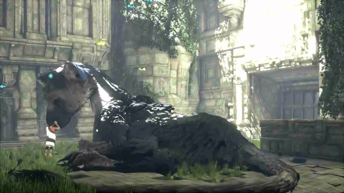 The Last Guardian: sei un giocatore smaliziato? | LIFEinGAMES