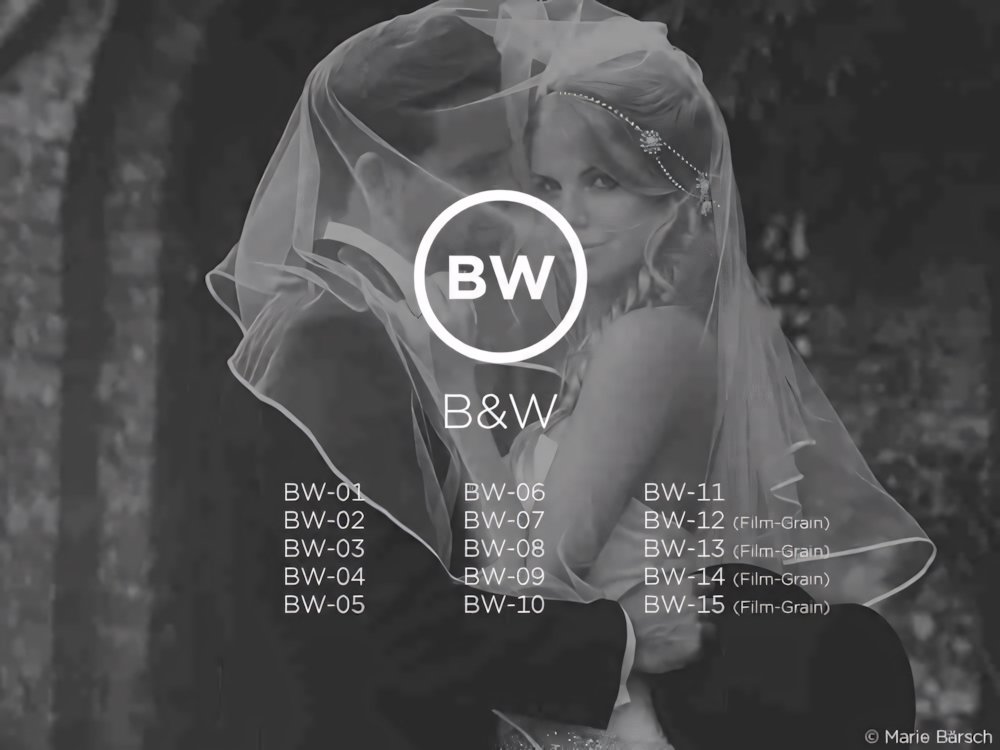 Recensione Capture One Pro Styles: Black & White Styles
