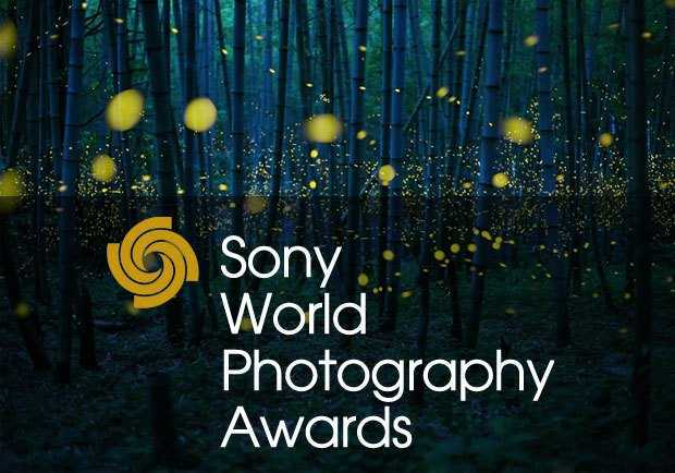 Sony World Photography Awards: il successo italiano tra i professionisti