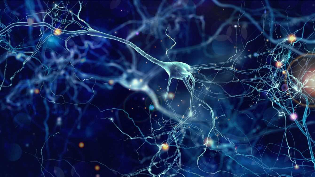 Biologia: cocktail di farmaci contro le malattie neurodegenerative