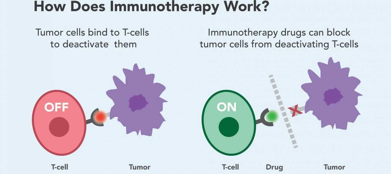 Medicina: l'immunoterapia sconfiggerà i tumori entro il 2050