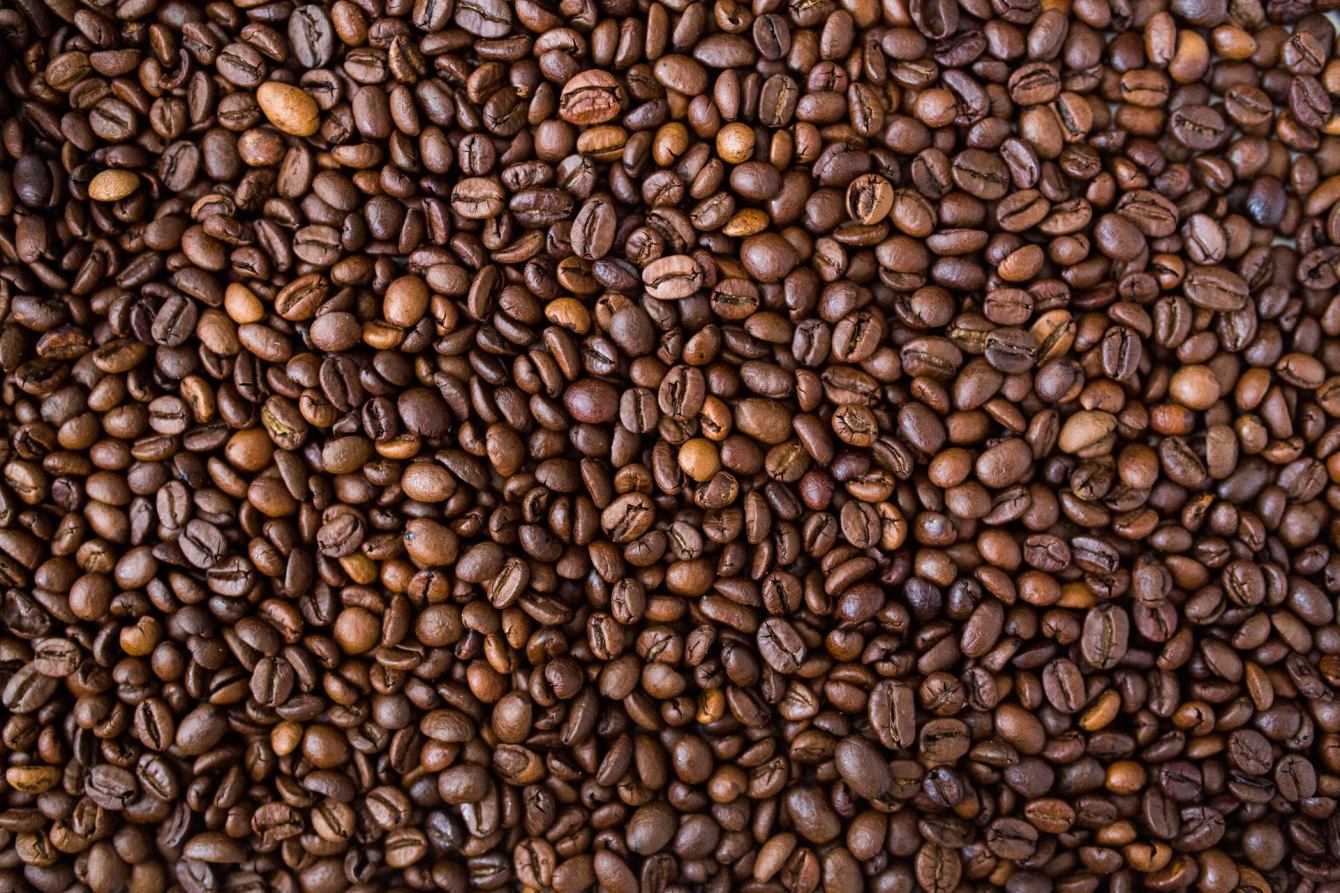Ecologia: molte specie di caffè rischiano l'estinzione