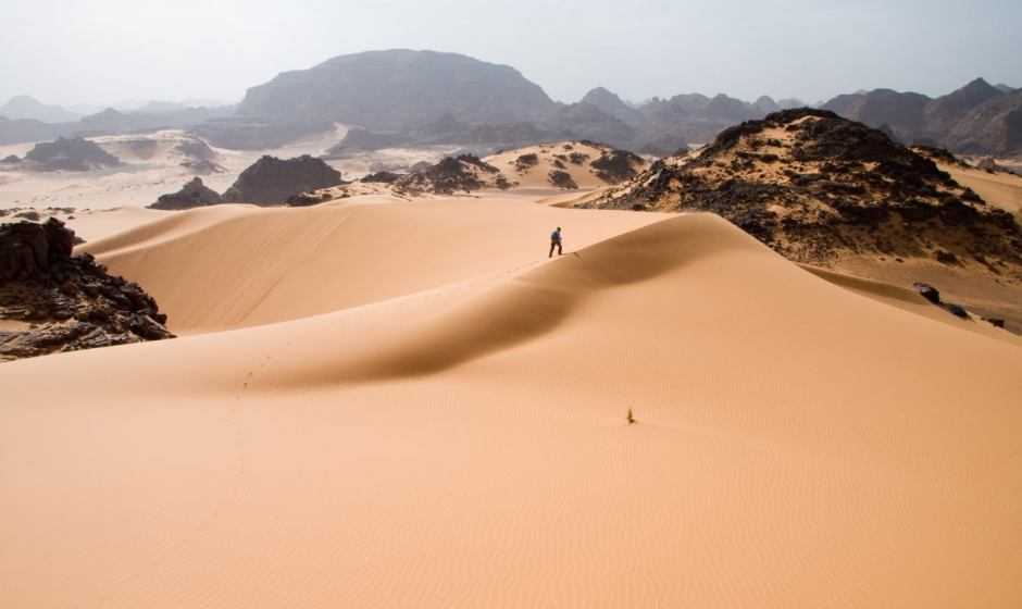 Ambiente: il deserto del Sahara rifiorisce ogni 20.000 anni