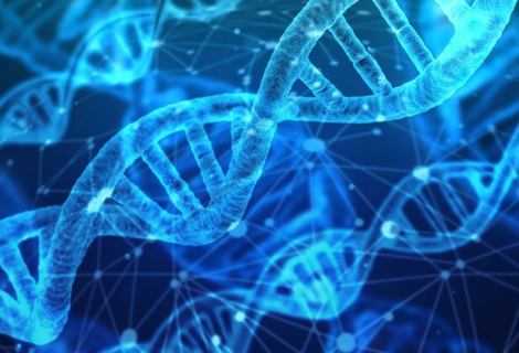 DNA sintetico: creato il primo organismo vivente | Biologia