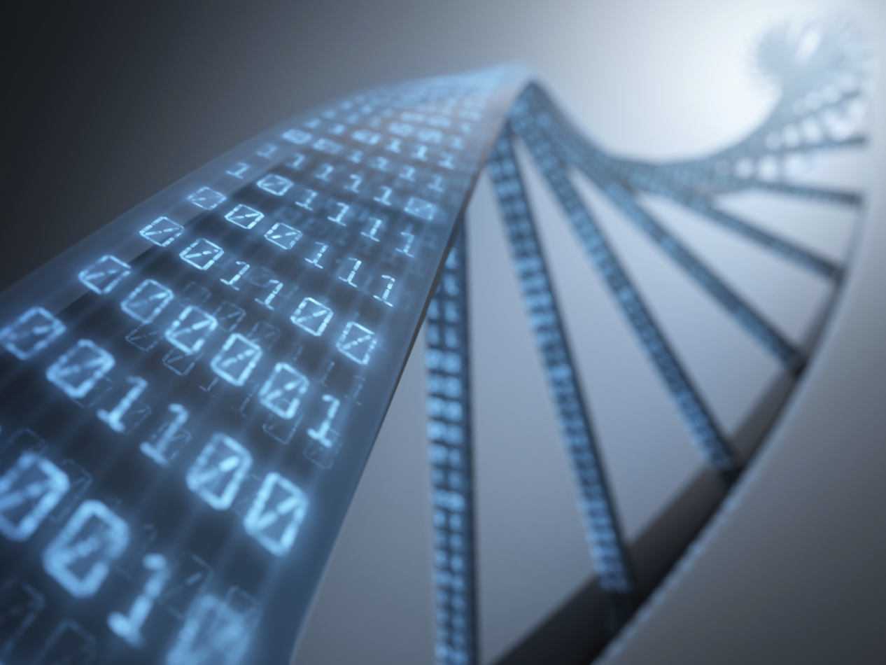 Autismo ed intelligenza artificiale: nuovi indizi nel DNA | Medicina