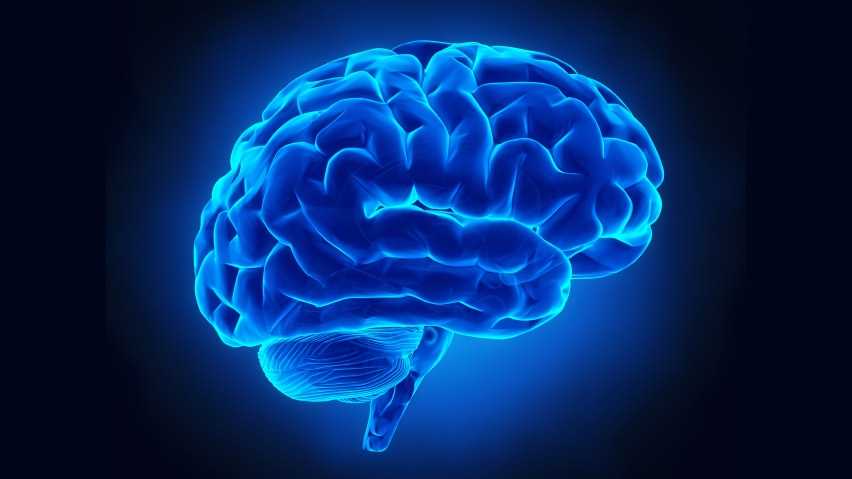 Cervello: fiocchi di grafene ne controllano l’attività | Medicina