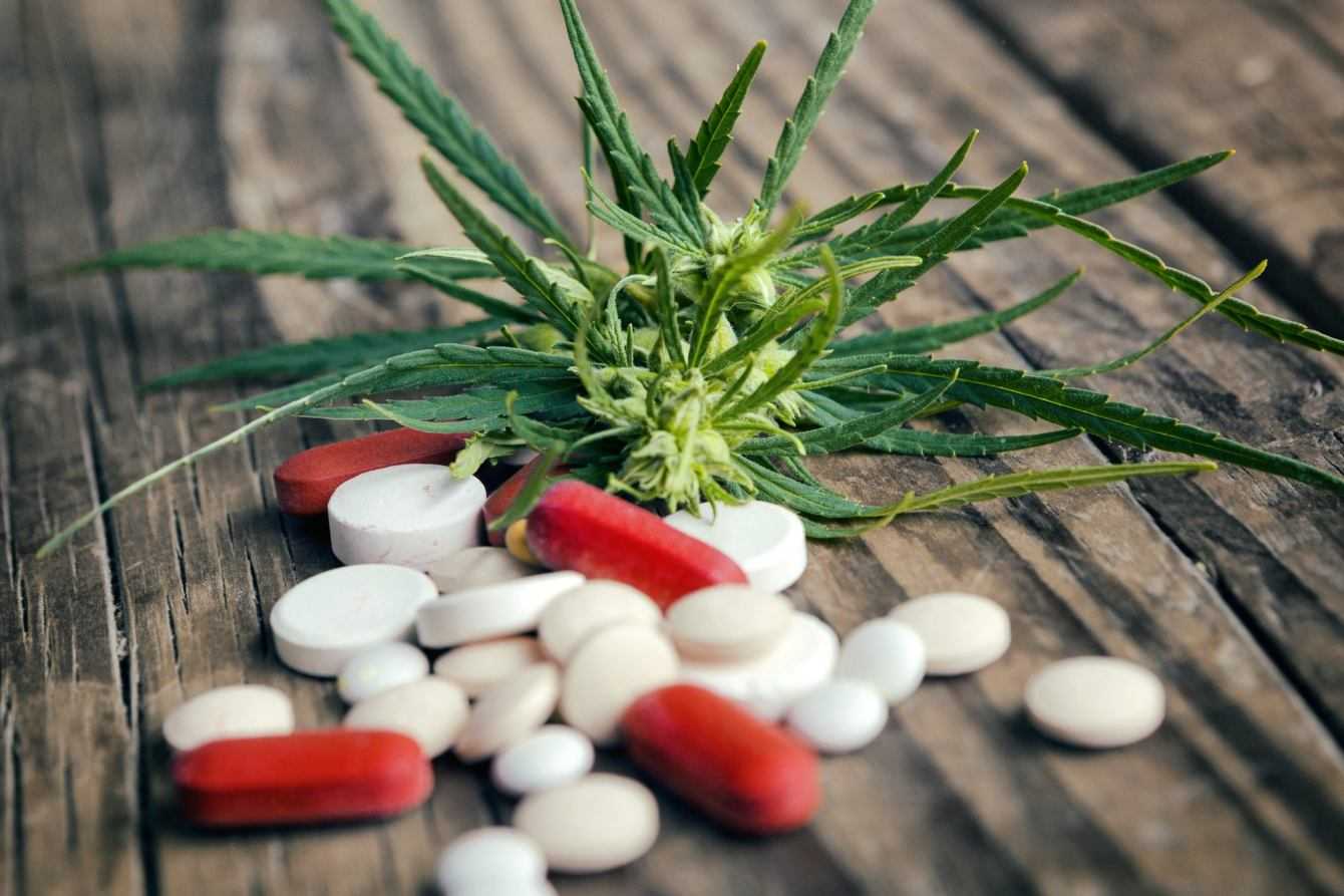 Cannabis terapeutica: utile contro i disturbi mentali? | Medicina