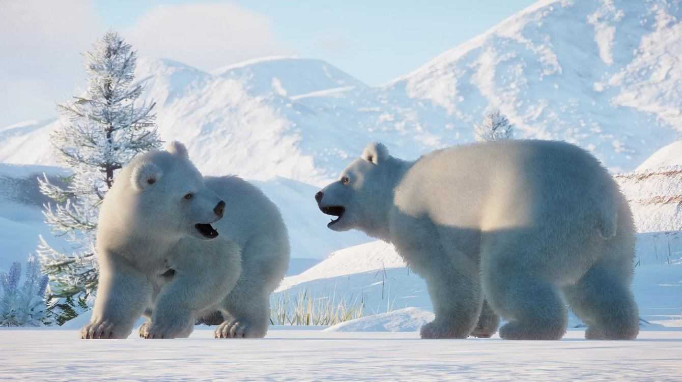 Recensione Planet Zoo Arctic Pack: un tour fra i ghiacci