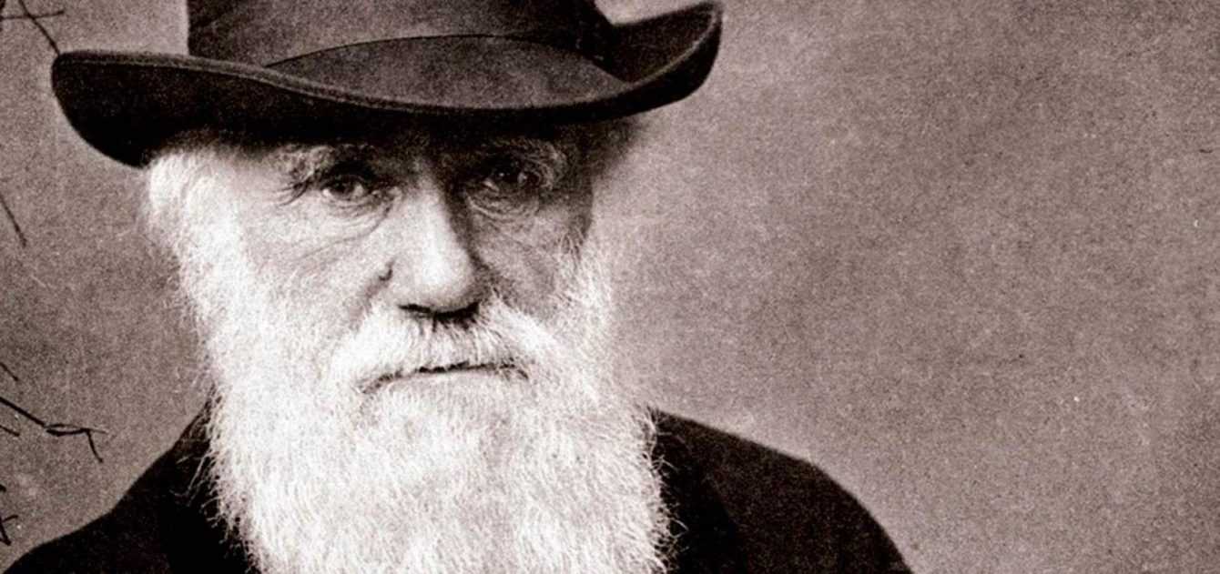 Darwin Day: perché festeggiare l'evoluzione e gli eventi in Italia