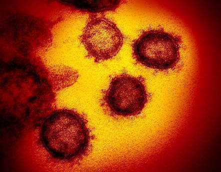 Coronavirus: immagini dettagliate del virus | Biologia