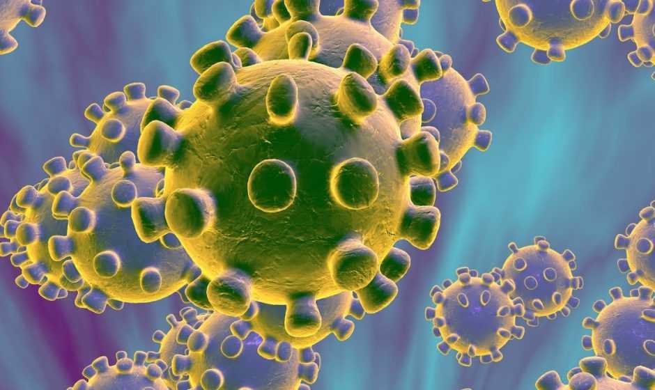 Coronavirus: trovate le molecole in grado di bloccare l’infezione