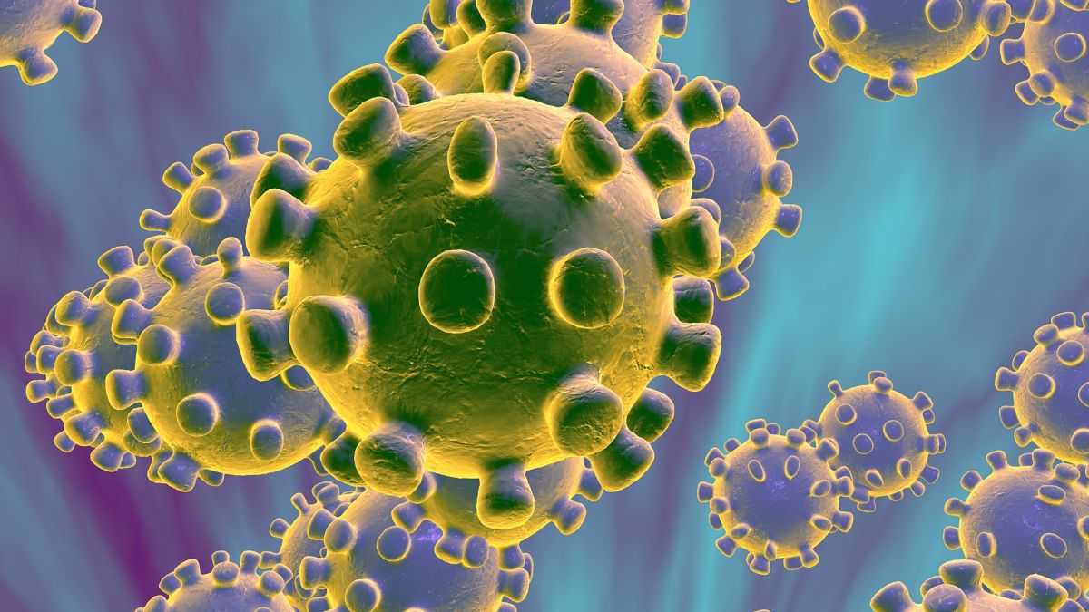 Coronavirus: encomio dell'ONB ai biologi dell'ospedale Sacco