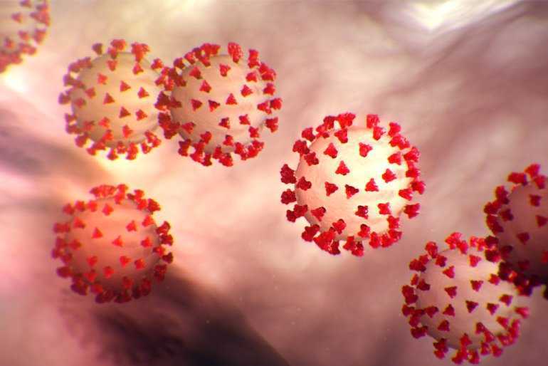 Cura Coronavirus: dallo Spallanzani nuove speranze | Biologia