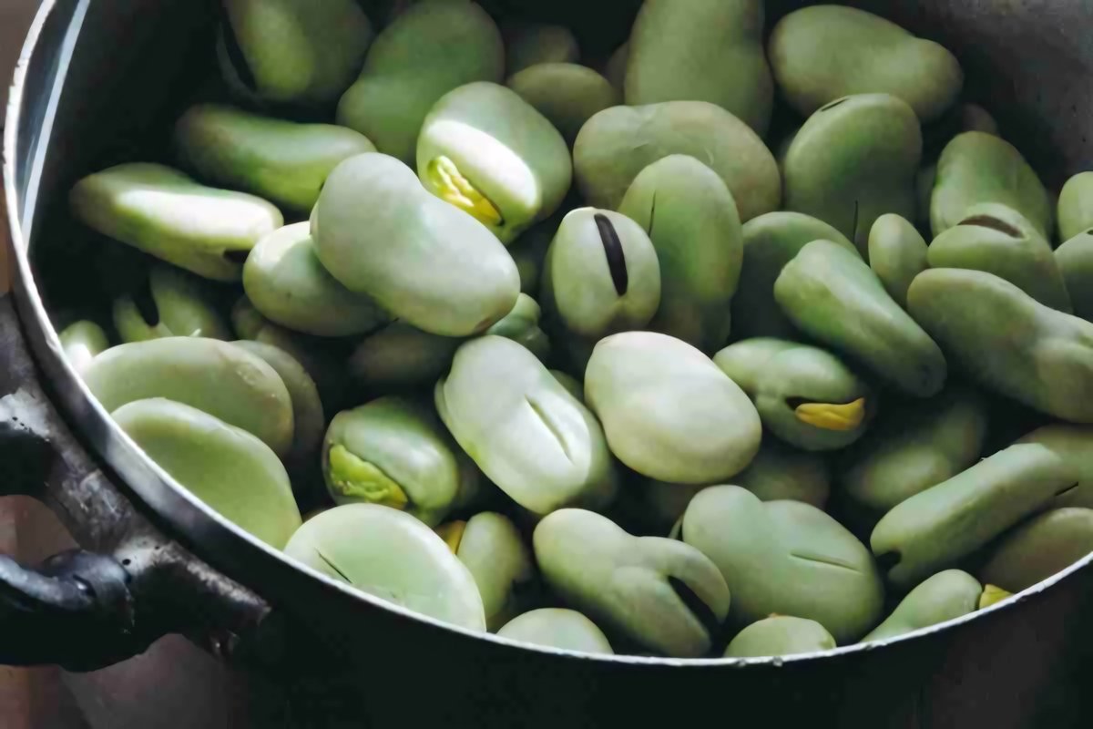 Infarto e tofu: cosa si è scoperto? | Medicina