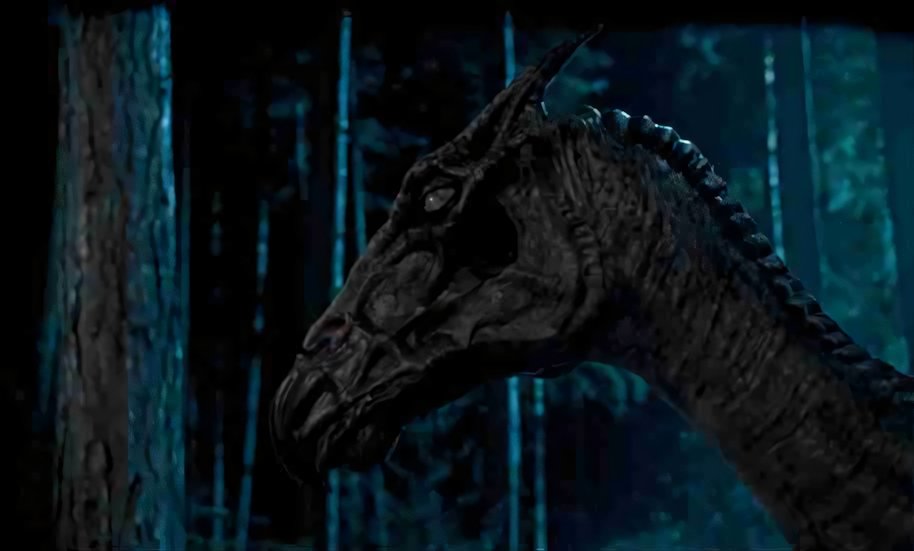Harry Potter e l'ordine della fenice: curiosità e recensione