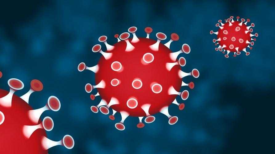 Vaccino coronavirus: VirScan rileva gli anticorpi nel sangue