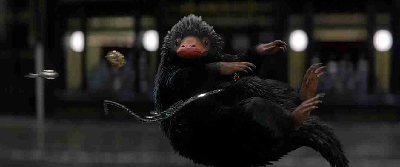 Animali fantastici e dove trovarli: curiosità e recensione
