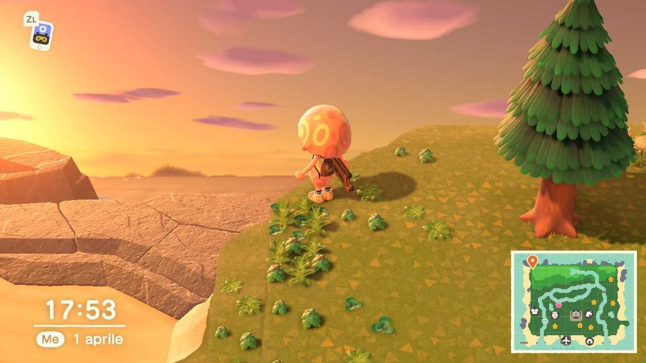 Animal Crossing: New Horizons, come fare la cacca