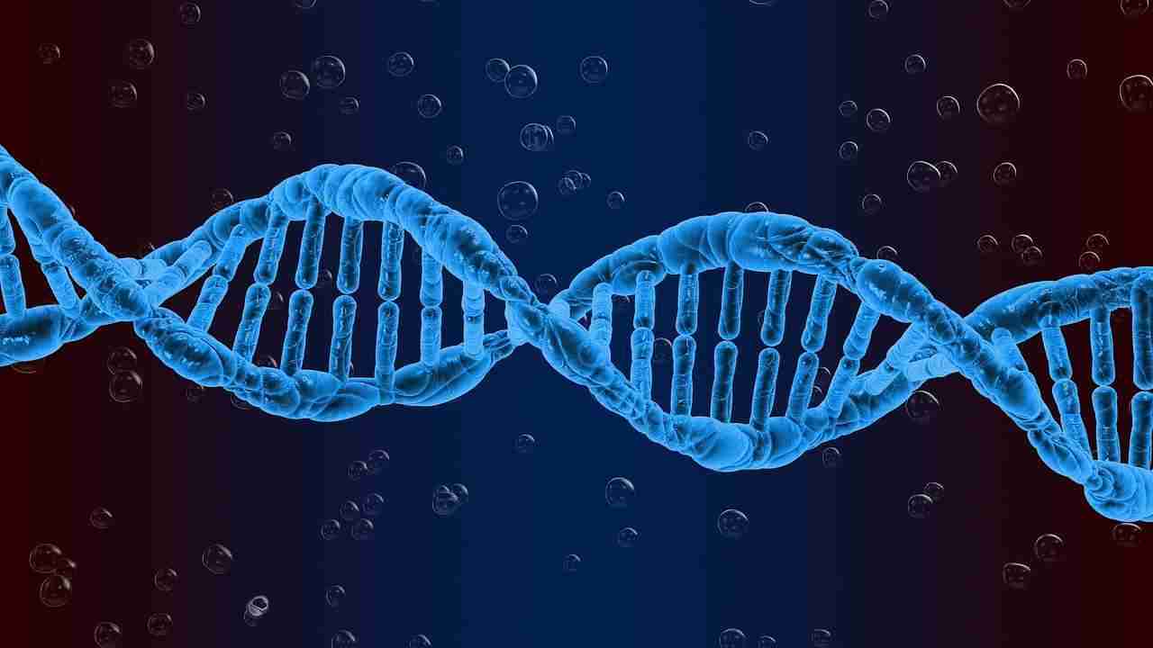 Tumori: un nuovo test del sangue ne rileva 50 | Medicina