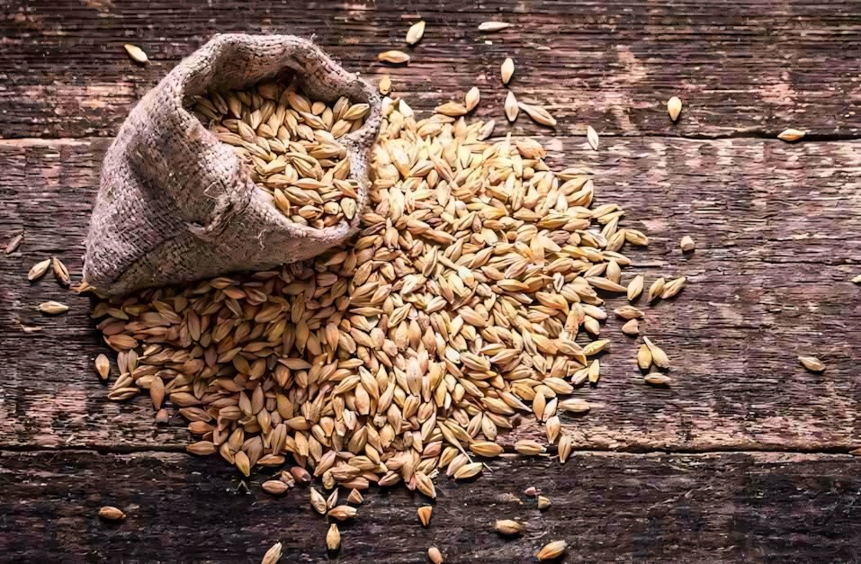 Birra: molto più antica di quanto si pensasse