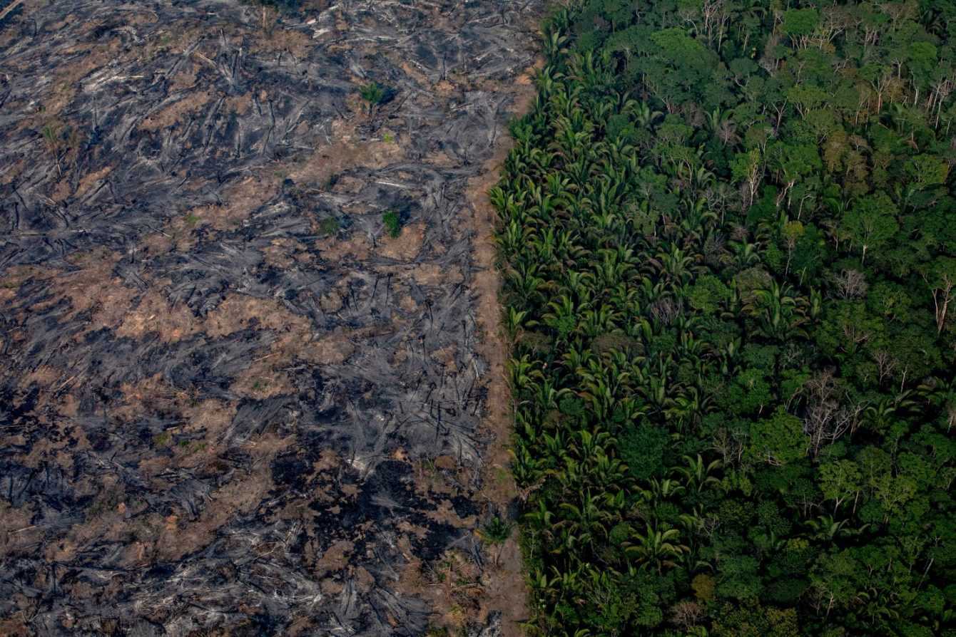 Pandemie: foresta amazzonica come possibile origine