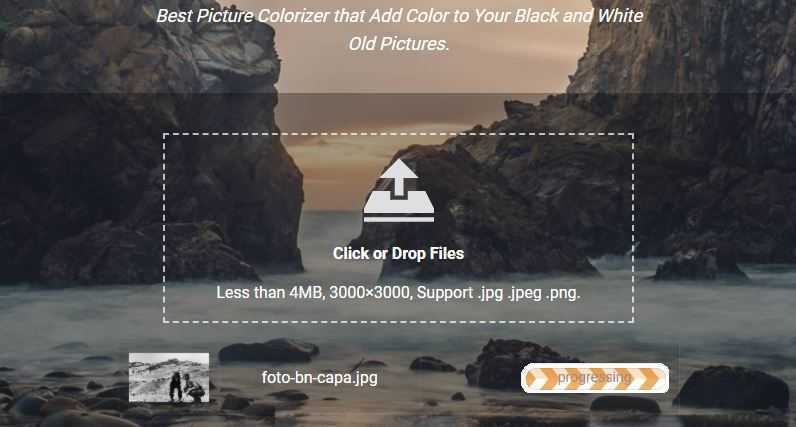 Recensione Image Colorizer: colorare le foto in bianco e nero