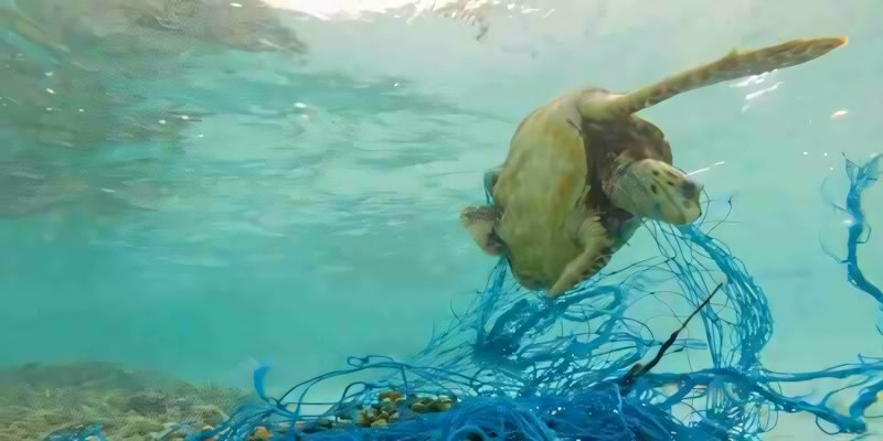 Plastica: le contromisure prese non sono sufficienti