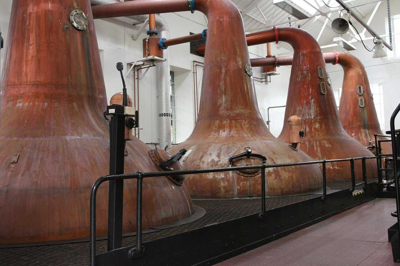 Whisky: nuove scoperte sugli aromi tipici