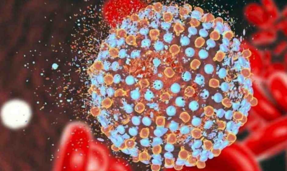 Nobel Medicina 2020: trionfano gli scopritori dell’epatite C