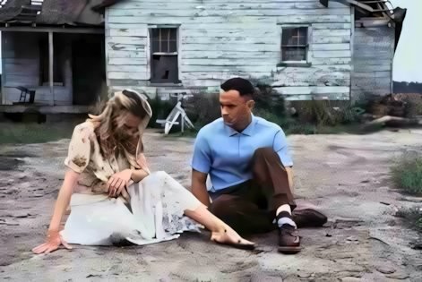"La vita è come una scatola di cioccolatini" | Citazioni dal cinema