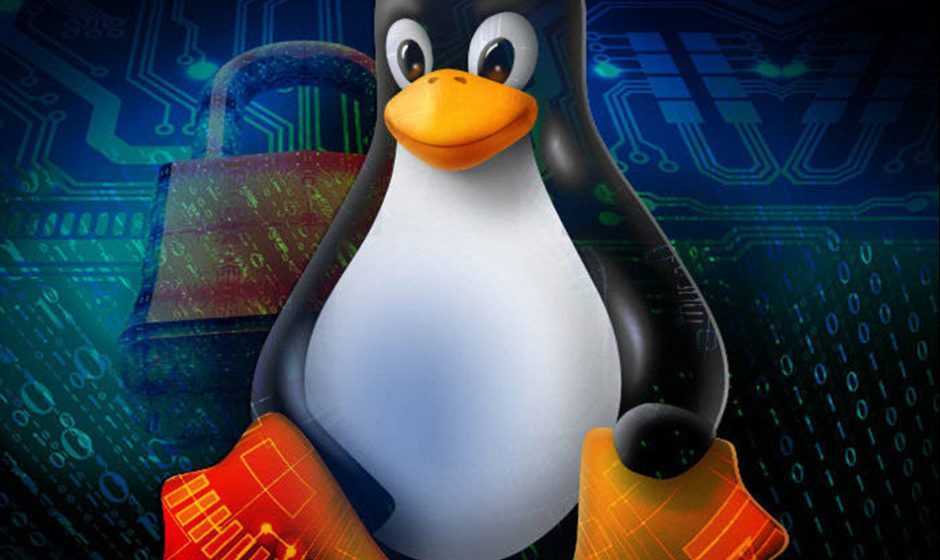 Migliori distro Linux per novizi ed esperti | Maggio 2022