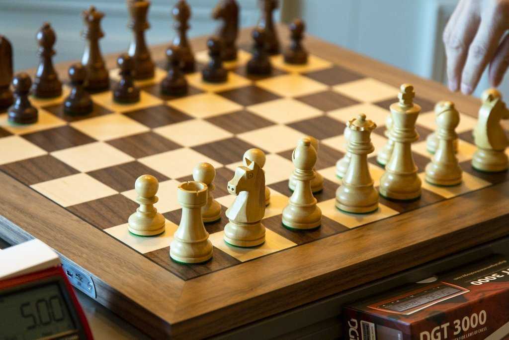 Migliori siti per giocare a scacchi online | Dicembre 2023