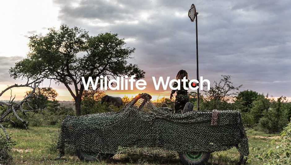 Wildlife watch: ranger virtuale grazie a Samsung
