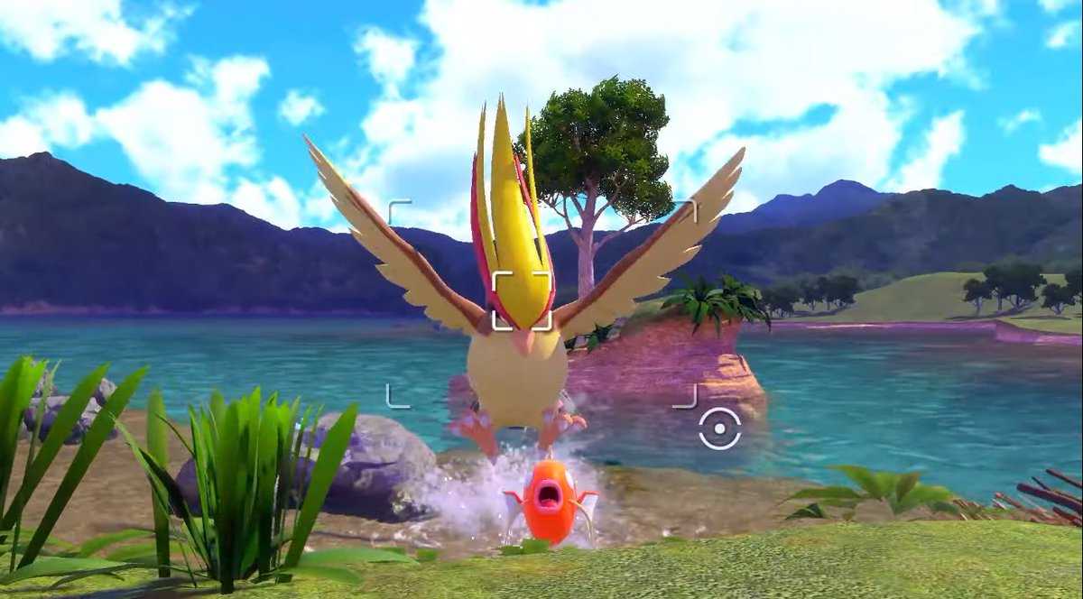 New Pokémon Snap: how to get 4 stars with Pidgeot