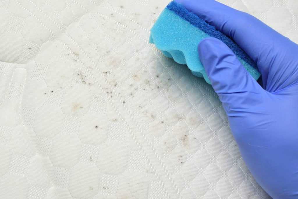 Aspirapolvere per materassi: addio alla polvere e agli allergeni