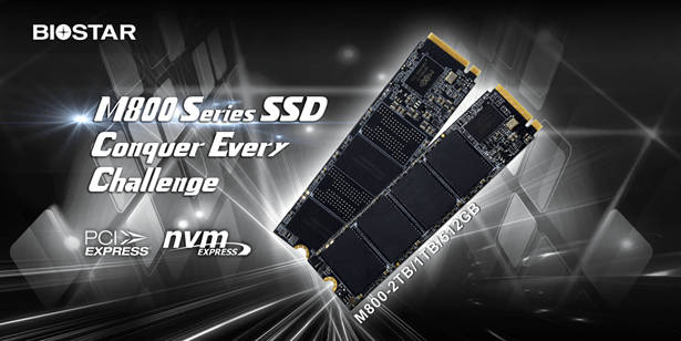 Biostar: presentati i nuovi SSD della serie M800 PCIe Gen4x4