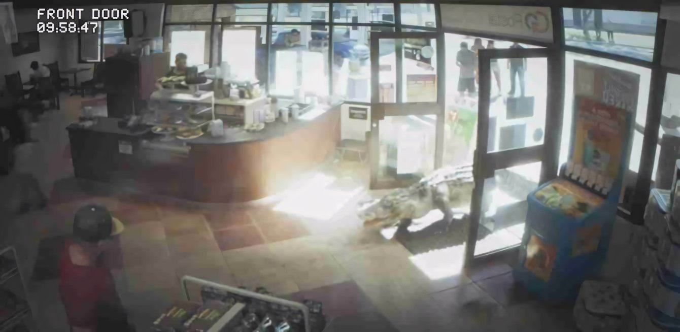GTA 6: tutti gli easter egg presenti nel trailer