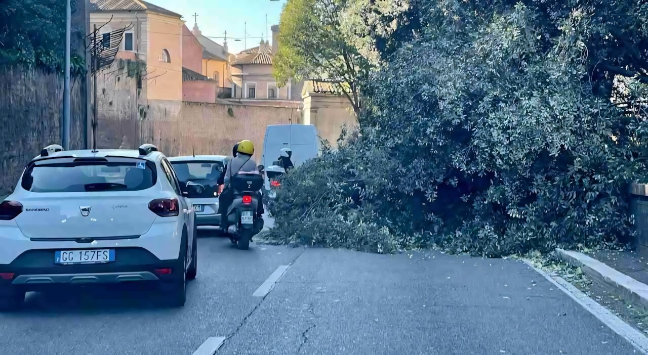 Come guidare con vento forte: trucchi e consigli