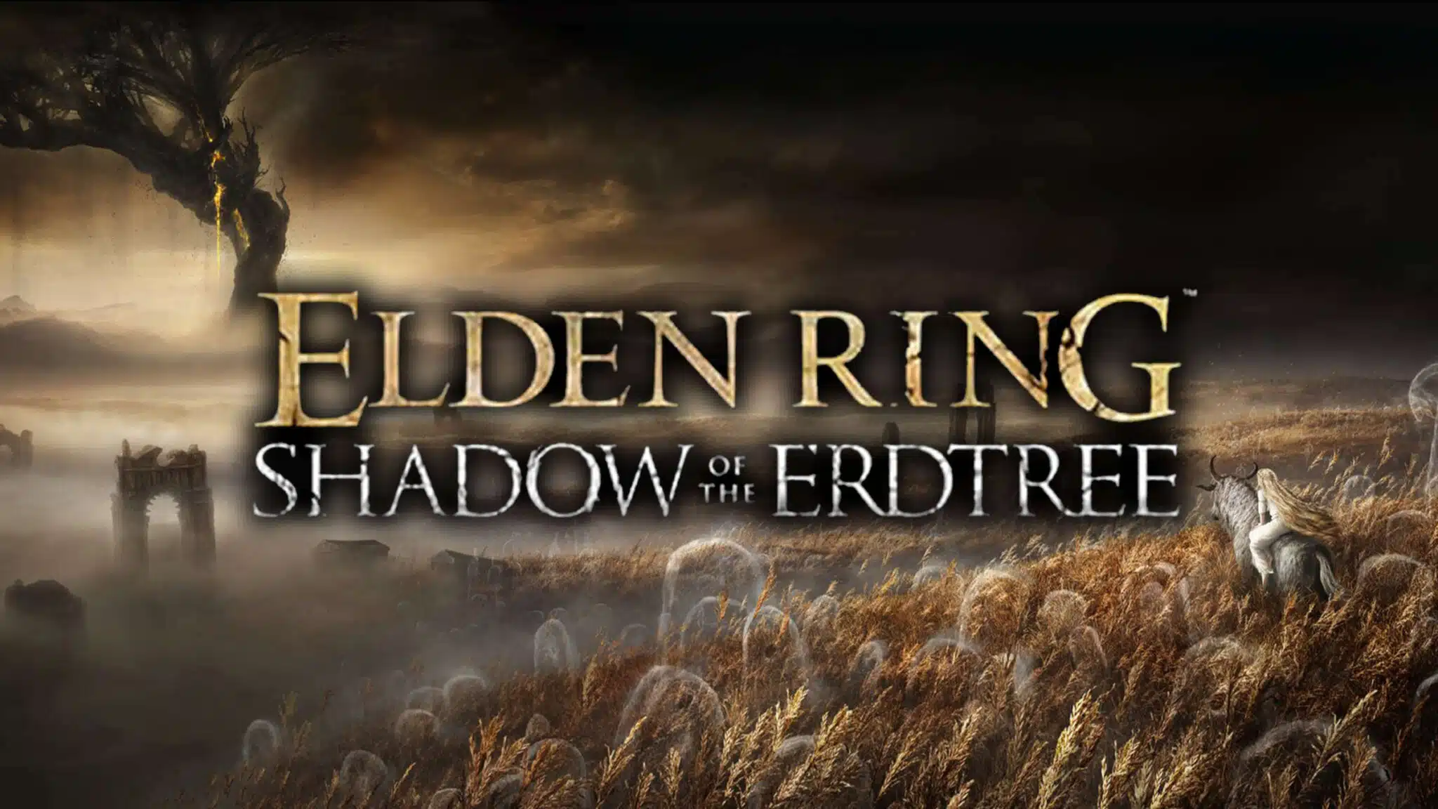 Elden Ring: non ci saranno altri DLC dopo Shadow of the Erdtree