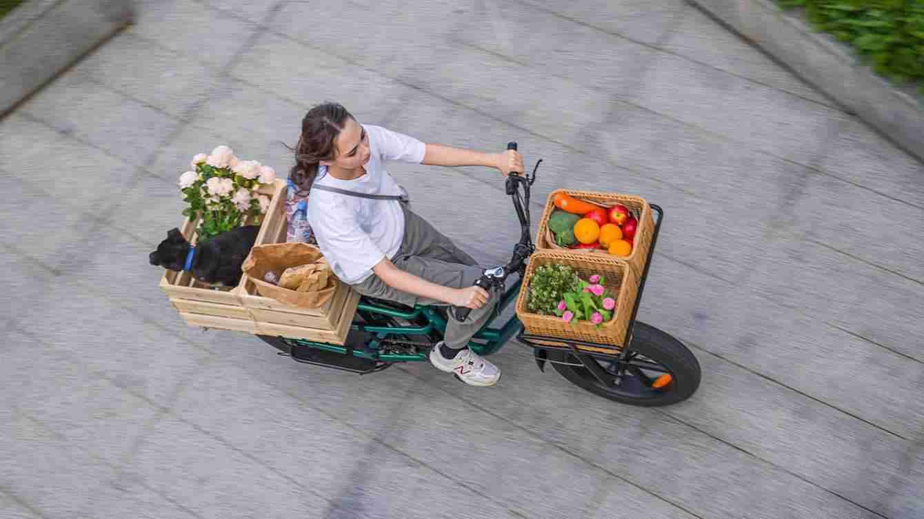 Fiido T2 Longtail eBike: L'eBike che sfida l'orizzonte