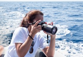 Fujifilm Italia e Jonian Dolphin Conservation insieme per raccontare la bellezza e la tutela del mare attraverso la fotografia